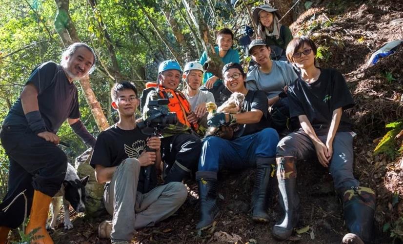 屏科大研究團隊近5年在山區進行大型森林性猛禽熊鷹調查，完整記錄南橫地區熊鷹家庭的繁殖育幼的生活史過程。（圖／玉管處提供）