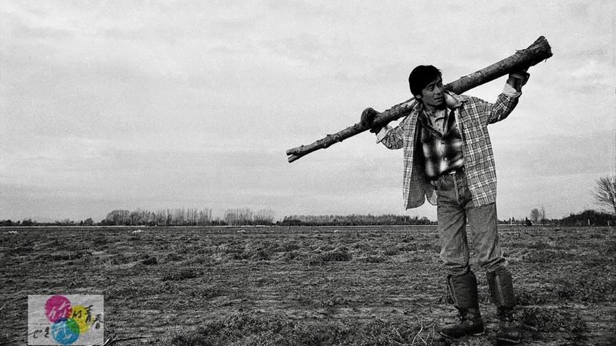 35歲時拍的伐木照片，正好就是目前王傑在加拿大的生活寫照。（圖／《你的青春也是我的青春》提供）
