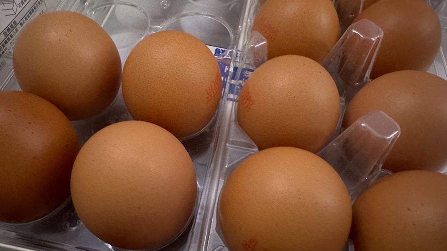面對蛋漲價，陳吉仲表示很多國家的雞蛋都比台灣還貴。（示意圖／張美欣攝）