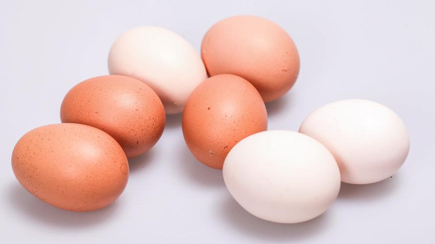 雞蛋對心血管病患其實有益。(圖 / 摘自Flickr)