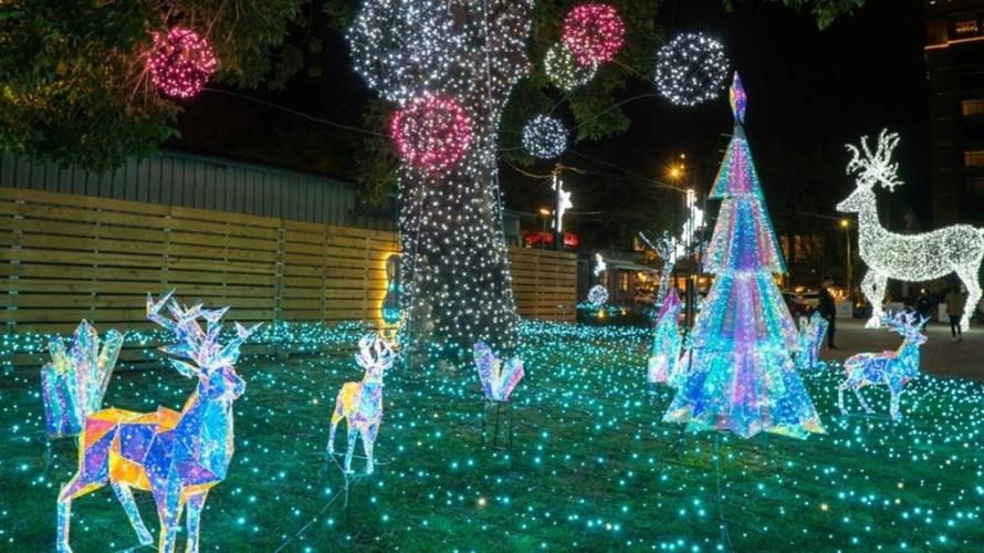 8公尺高的耶誕大麋鹿及各樣繽紛的造型主題燈飾。(圖／台東縣政府提供)