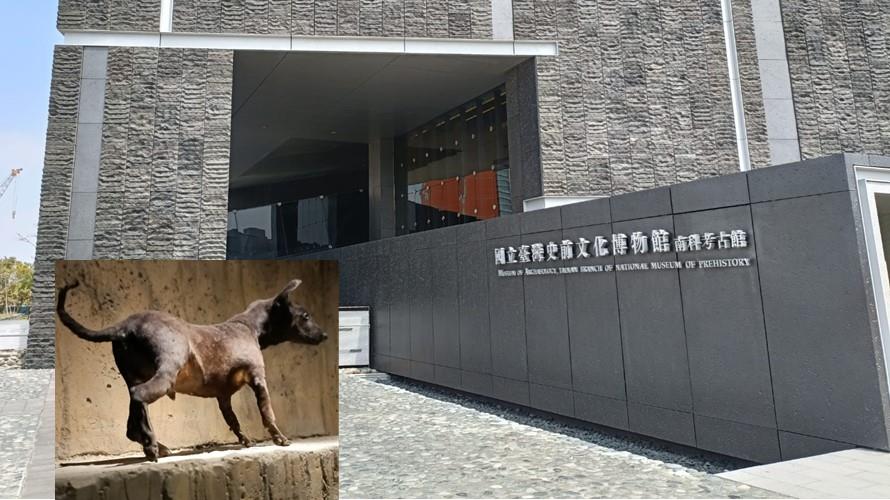 南科內的「臺灣史前文化博物館-南科考古館」，展示距今5000~300年前先民的遺物，擬真的小黑犬是博物館最佳代言。(圖/作者拍攝合成)