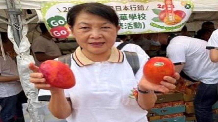 台南市議員蔡秋蘭遭控詐領助理費　檢調搜索6處所