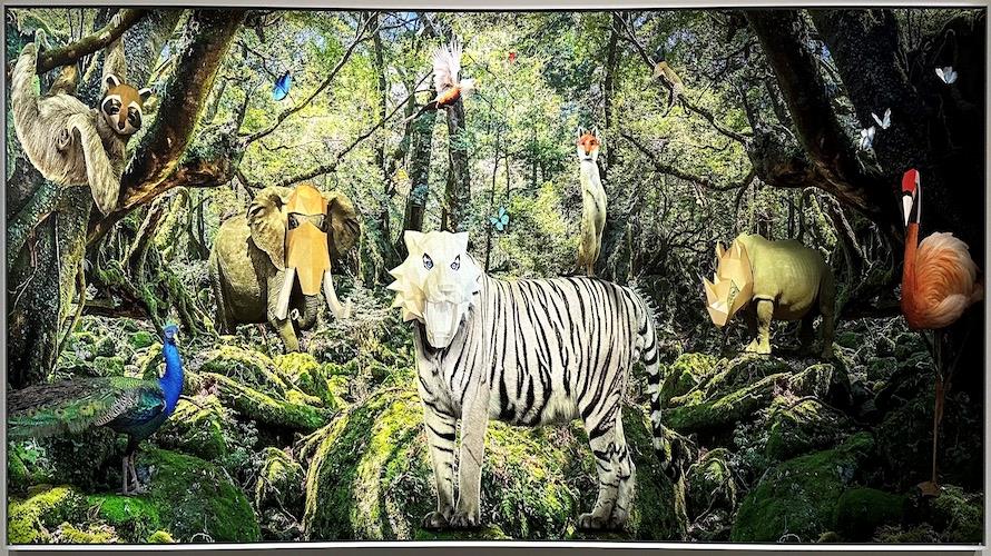 南美館新展散發「愛洛蒙」   人與動物相遇之「後心靈樂園」